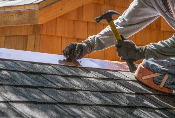 Best Solar Panel Roofing Installation  in Northville, MI