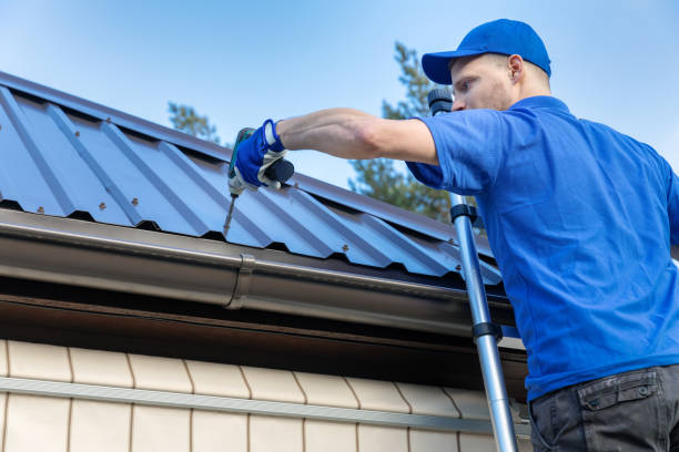 Best Roof Maintenance and Cleaning  in Northville, MI