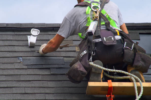 Best Rubber Roofing (EPDM, TPO)  in Northville, MI